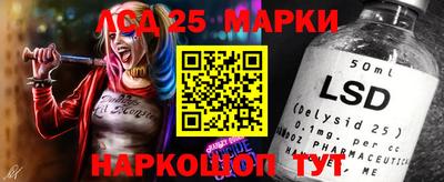 гидропоника Берёзовский