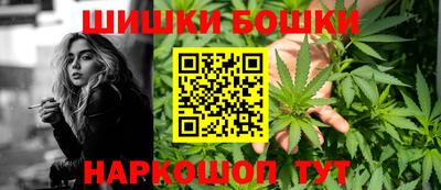 индика Беслан