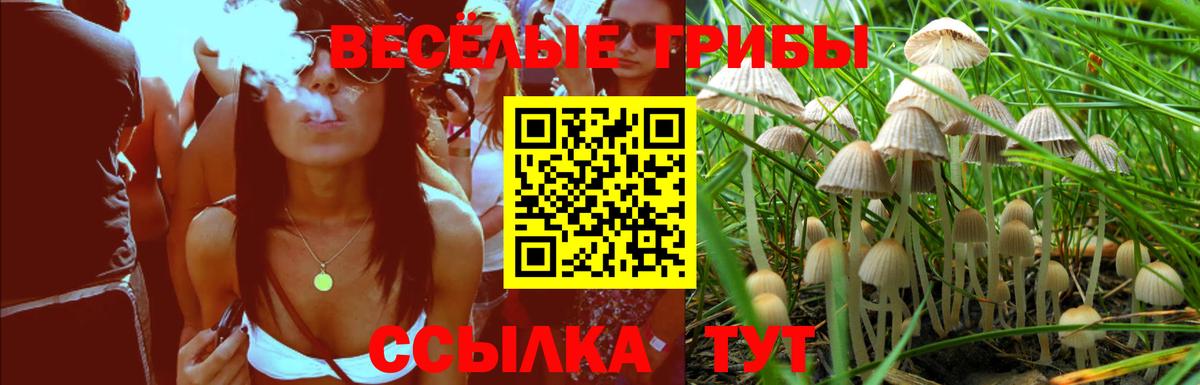 Псилоцибиновые грибы Psilocybine cubensis  Галлюциногенные грибы мухоморы  Озёры  Вход с VPN 